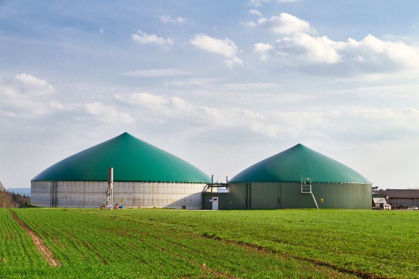 Biogas aus Pflanzen