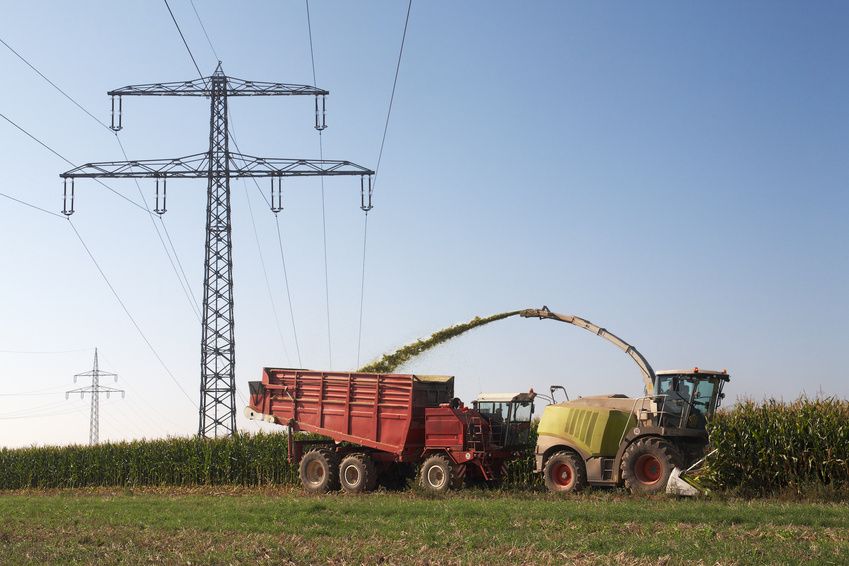 Biogas aus organischen Abfällen